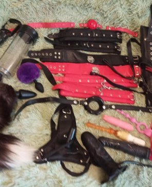 ВИРТ Гала, 45